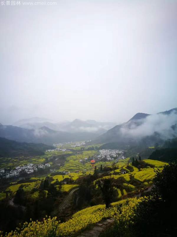 黃色花海油菜花田景觀鄉村旅游